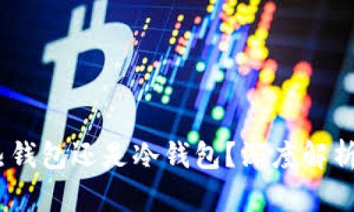 TP钱包：是热钱包还是冷钱包？深度解析与投资策略