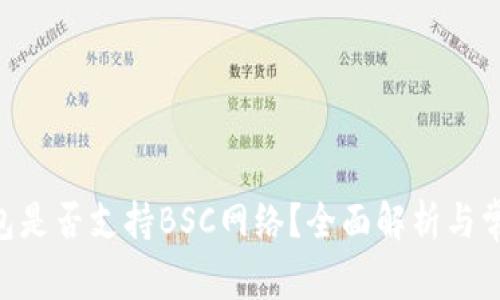 Tokenim钱包是否支持BSC网络？全面解析与常见问题解答