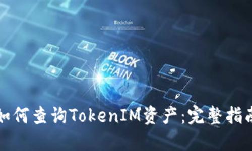 如何查询TokenIM资产：完整指南