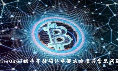 TokenimusDT提币等待确认中解决方案与常见问题解析