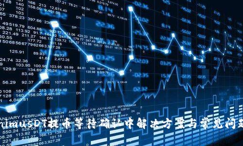 TokenimusDT提币等待确认中解决方案与常见问题解析
