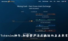 Tokenim柚子：加密资产与区
