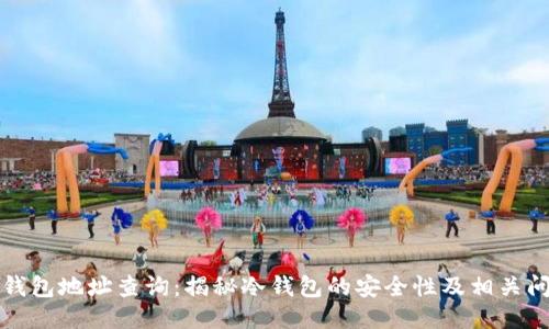 冷钱包地址查询：揭秘冷钱包的安全性及相关问题