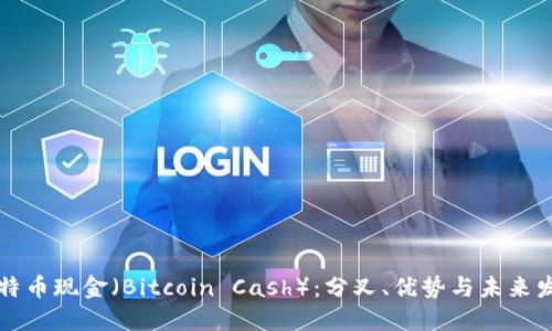比特币现金（Bitcoin Cash）：分叉、优势与未来发展