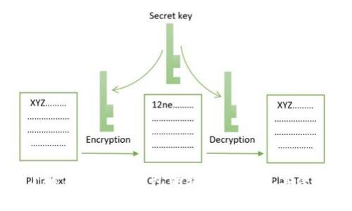 深入了解Tokenim钱包的输入路径及其使用方法