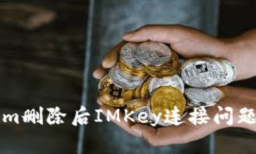 解决Tokenim删除后IMKey连接问题的详细指南
