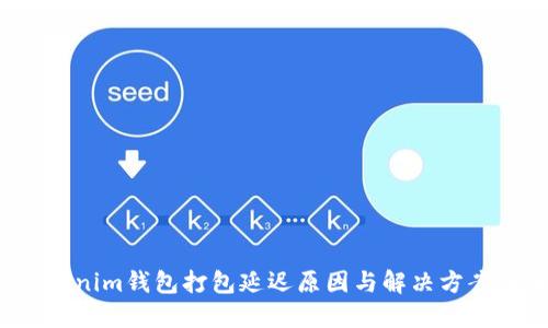 Tokenim钱包打包延迟原因与解决方案详解