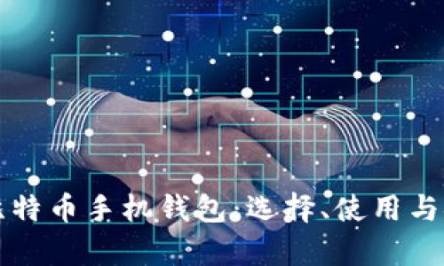 全面解析比特币手机钱包：选择、使用与安全性分析