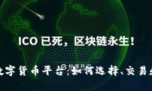 全面解析数字货币平台：如何选择、交易和安全风险