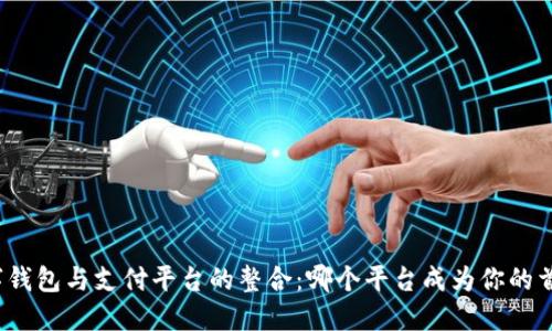 数字钱包与支付平台的整合：哪个平台成为你的首选？