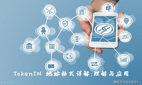 TokenIM 地址格式详解：理解与应用