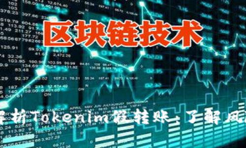 bolaoti深入解析Tokenim假转账：了解风险与防范措施