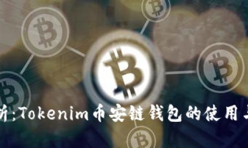 深度解析：Tokenim币安链钱包的使用与安全性
