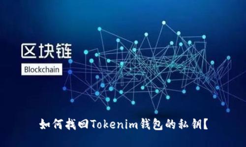 如何找回Tokenim钱包的私钥？