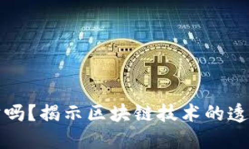 虚拟币能追踪吗？揭示区块链技术的透明性与隐私性