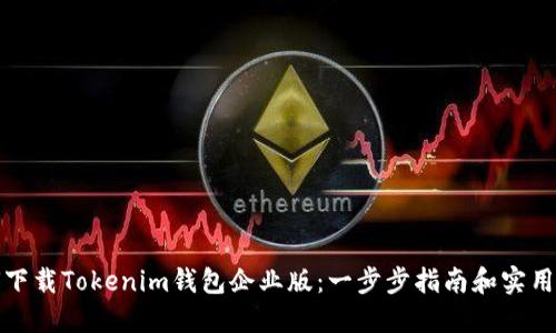 如何下载Tokenim钱包企业版：一步步指南和实用技巧