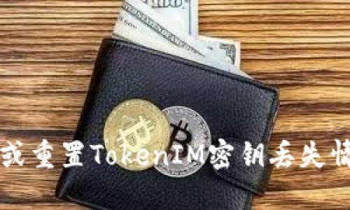 如何安全找回或重置TokenIM密钥丢失情况的最佳指南