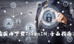 如何在国内下载TokenIM：全