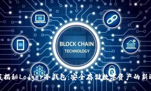 彻底揭秘Lodger冷钱包：安全存储数字资产的新选择