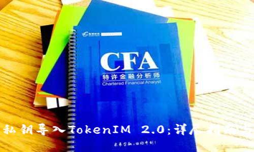 如何使用私钥导入TokenIM 2.0：详尽指南与实用技巧