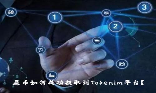 屎币如何成功提取到Tokenim平台？