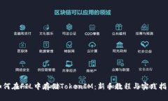 如何在FIL中存储TokenIM：新
