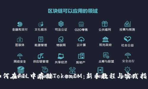 如何在FIL中存储TokenIM：新手教程与实践指南