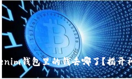 我的Tokenim钱包里的钱去哪了？揭开神秘面纱！
