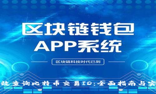 如何有效查询比特币交易ID：全面指南与实用技巧