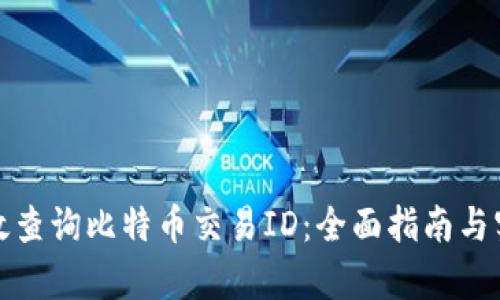 如何有效查询比特币交易ID：全面指南与实用技巧