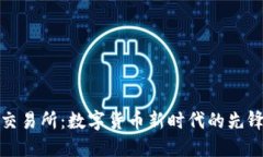VV币交易所：数字货币新时