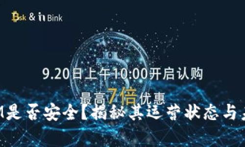 TokenIM是否安全？揭秘其运营状态与未来前景