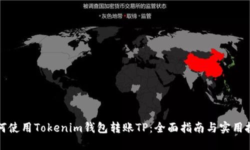如何使用Tokenim钱包转账TP：全面指南与实用技巧