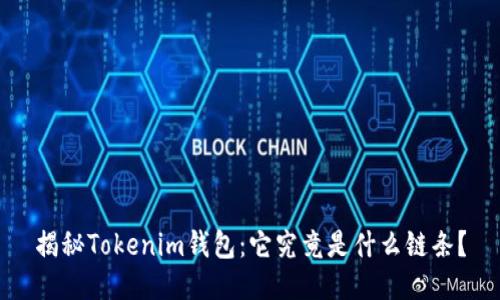 揭秘Tokenim钱包：它究竟是什么链条？