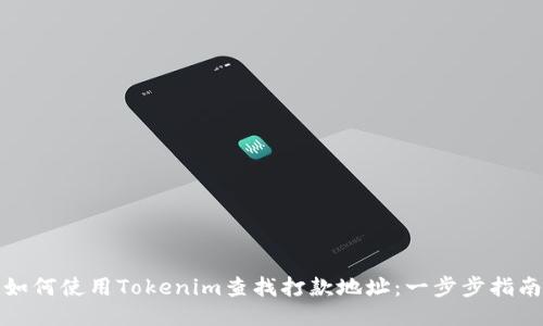 如何使用Tokenim查找打款地址：一步步指南