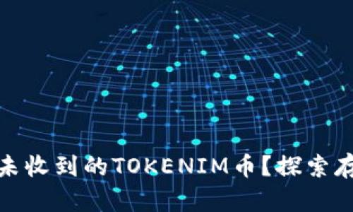 如何安全存储未收到的TOKENIM币？探索存储与交易策略