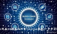 如何在iOS设备上下载Toke