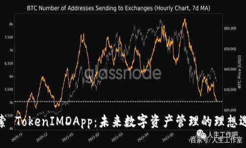 探索 TokenIMDApp：未来数字资产管理的理想选择