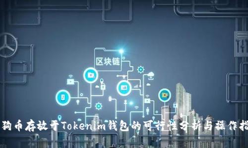 狗狗币存放于Tokenim钱包的可行性分析与操作指南