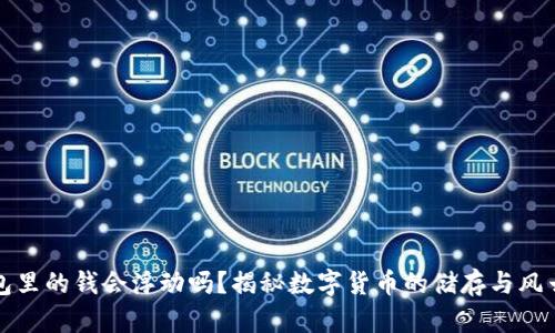 冷钱包里的钱会浮动吗？揭秘数字货币的储存与风云变幻