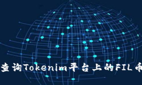 如何查询Tokenim平台上的FIL币信息