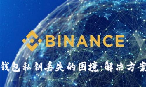 如何应对冷钱包私钥丢失的困境：解决方案与预防措施