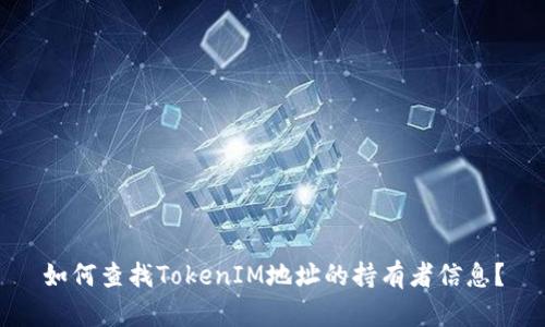 如何查找TokenIM地址的持有者信息？