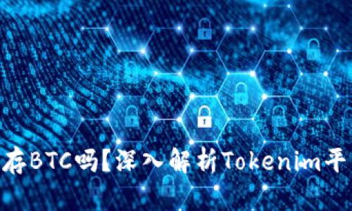Tokenim能存BTC吗？深入解析Tokenim平台及其功能