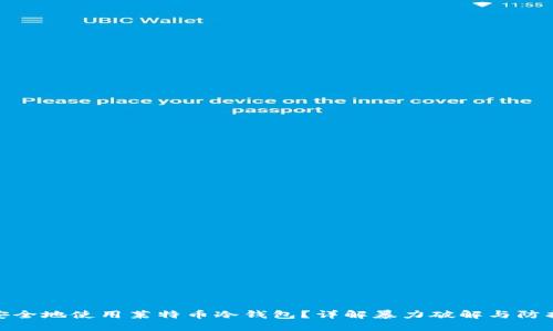 如何安全地使用莱特币冷钱包？详解暴力破解与防护措施