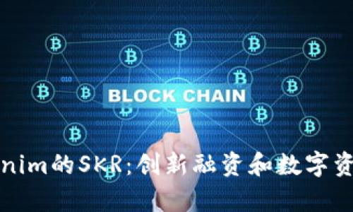 深入解析Tokenim的SKR：创新融资和数字资产管理的新宠