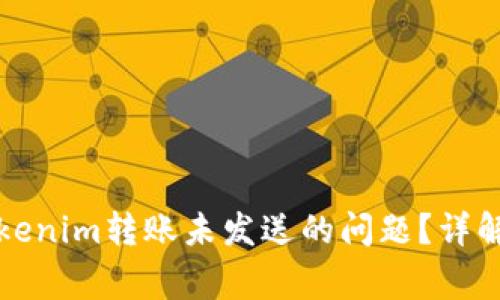 如何解决Tokenim转账未发送的问题？详解及常见问答