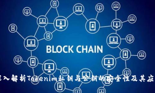 深入解析Tokenim私钥与公钥的安全性及其应用
