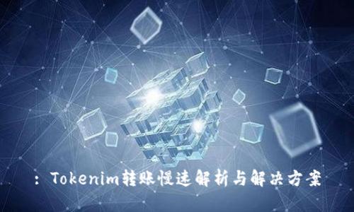 : Tokenim转账慢速解析与解决方案