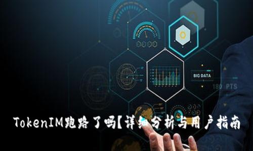 TokenIM跑路了吗？详细分析与用户指南